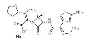 Cefovecin sodium - Image 2